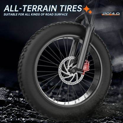 EKX X20 Electric Bicycle